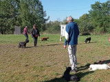 Club Canin de Charmes