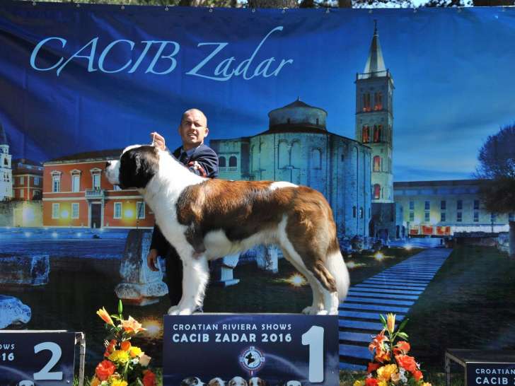 Van't Hof ten Eynder