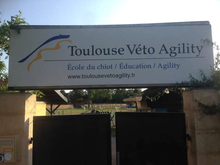 Toulouse Véto Agility (TVA)