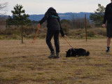 Club du Chien de Berger et de Garde de la Montagne Noire (CCBG)