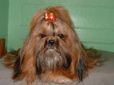 Imperial Khan Shing