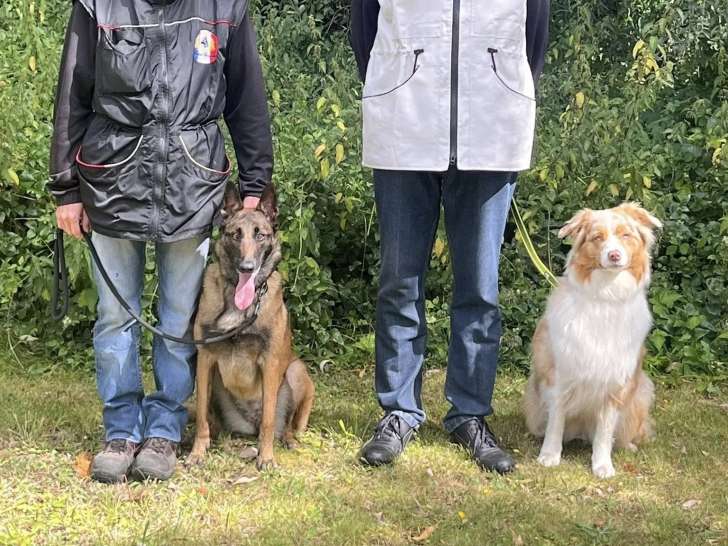 Club d'Education Canine de Beuvry