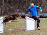 Club d'Agility de Sainte-Euphémie (CASE)
