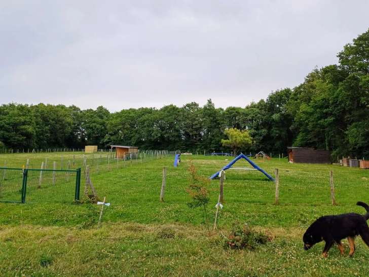 Amicale Canine Anne de Bretagne