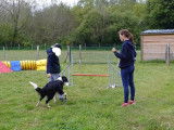 Amicale Canine Anne de Bretagne