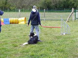Amicale Canine Anne de Bretagne