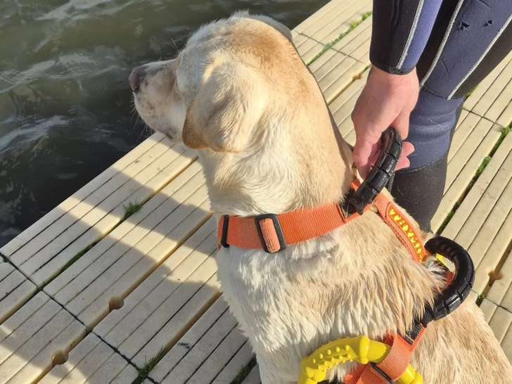 Association Choletaise de Travail à l'Eau