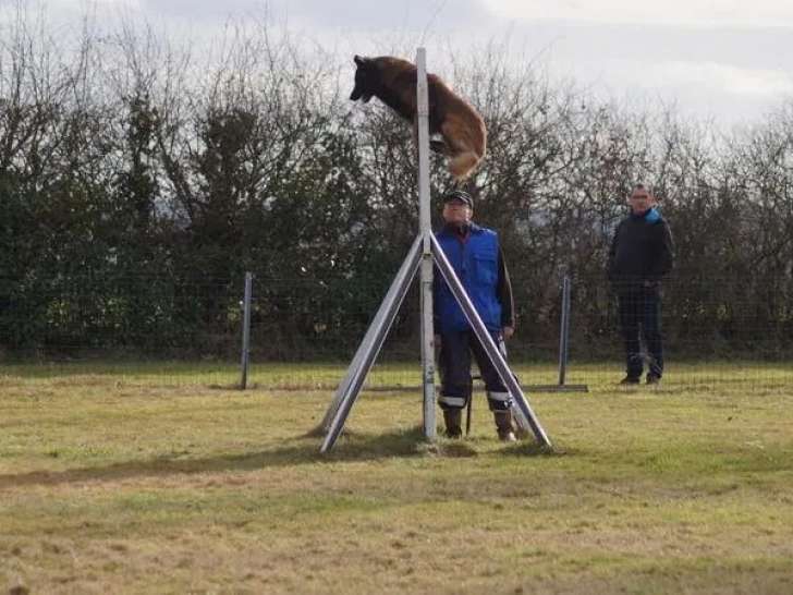 Sport Canin Choletais