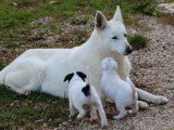 Domaine des collines blanches