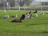 Canin Club de Bucy-le-Long