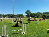 Une belle manifestation canine organis&eacute;e par le club dans le cadre de la f&ecirc;te de LE BOISLE