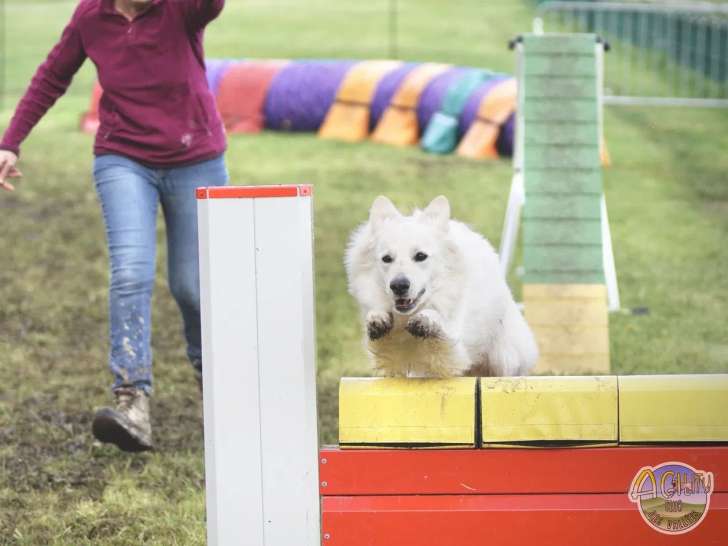 Agility Club des Vallées