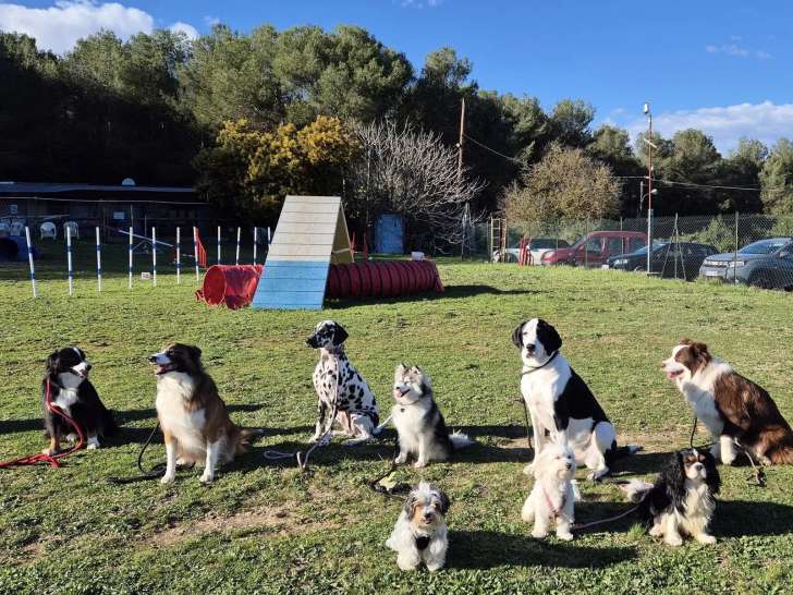 Club Canin Mouginois