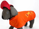 Cani-Coiff