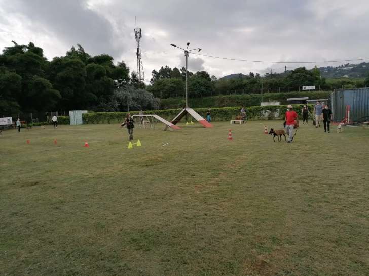 Flair et Crocs Tamponnais
