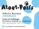 Atout-Poils