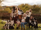Studio Beauté Canin  N.Gilbert