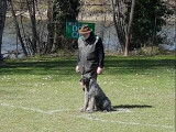 Club Canin Castelpontin