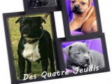 Des Quatre Jeudis