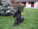 La Dynastie des Sages