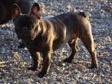 Les Bouilles de la Garonne