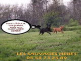Les Sauvages Hères