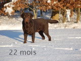 Du Taillis Madame