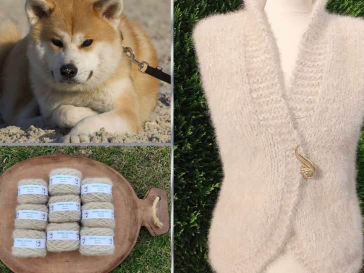 Dogwool  Filage de laine canine