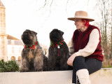 Bouvier des Flandres du Clos de la Luette