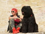 Bouvier des Flandres du Clos de la Luette