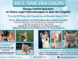 De l'&Acirc;me des Loups