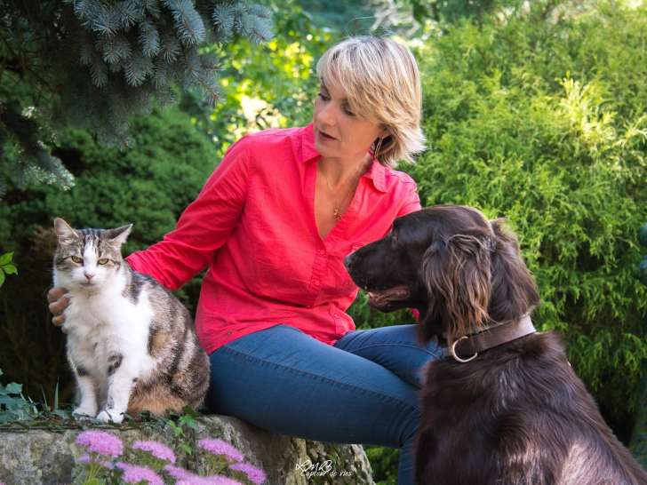 Chien, Chat, Mode d'emploi