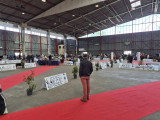 Association Canine Territoriale de La Haute-Vienne