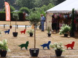 Association Canine Territoriale de La Haute-Vienne