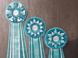 Association Canine Territoriale de La Haute-Vienne