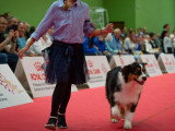 Association Canine de Haute-Garonne