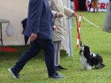 Association Canine de Haute-Garonne