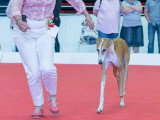 Association Canine Territoriale de l'Oise (ACTO)