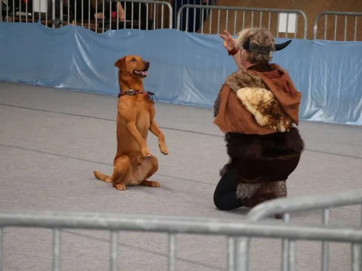 Association Canine du Poitou