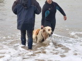 Association Canine Territoriale de la Charente Maritime