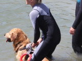 Association Canine Territoriale de la Charente Maritime