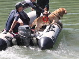 Association Canine Territoriale de la Charente Maritime