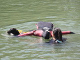 Association Canine Territoriale de la Charente Maritime
