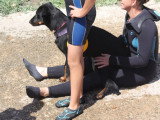 Association Canine Territoriale de la Charente Maritime