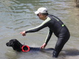 Association Canine Territoriale de la Charente Maritime