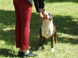 Association Canine Territoriale de la Charente Maritime