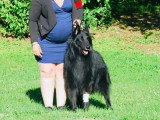 Association Canine Territoriale de la Charente Maritime