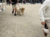 Association Canine Territoriale de Bourgogne