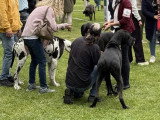 Association Canine Territoriale de Bourgogne