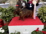 Association Canine Territoriale de Bourgogne